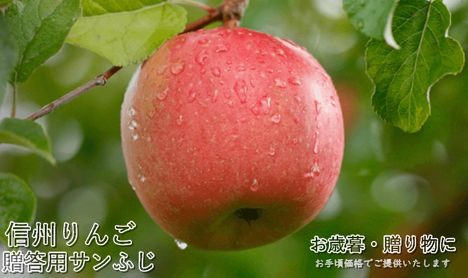 信州りんごサンふじ贈答用