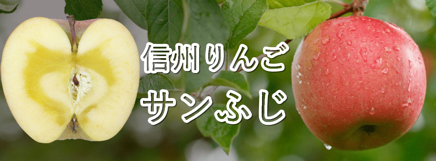 信州りんご　贈答用サンふじ